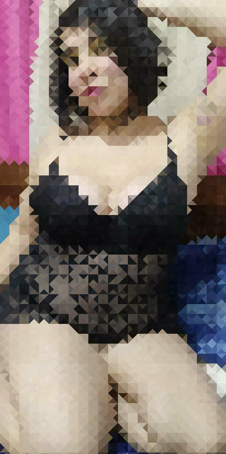 lycalopex ignis étoile magnifique image