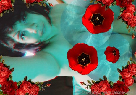 lycalopex ignis actrice de sexe images