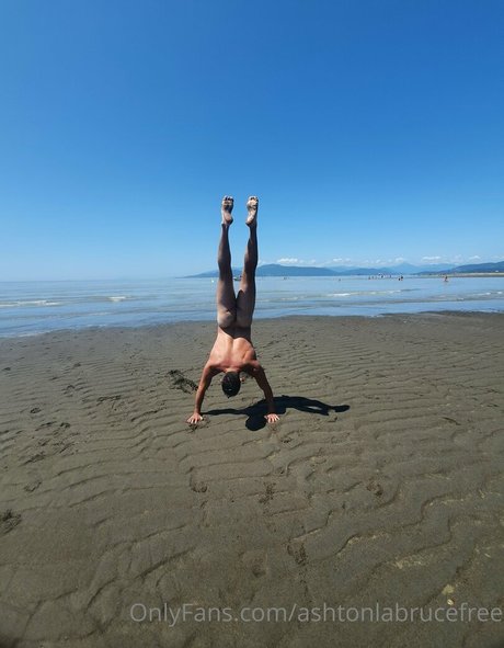 ashtonlabrucefree meilleur modèle archive