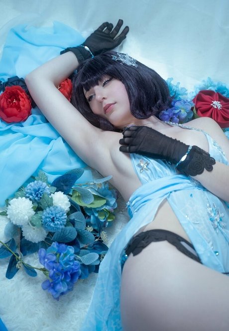 Elycoris étoile photos