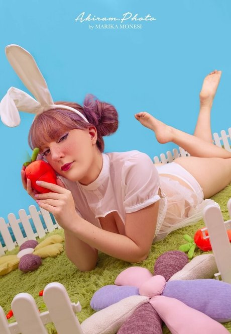 Elycoris jolie star du porno image