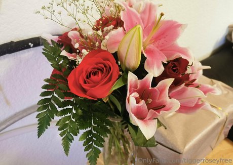 tiggerroseyfree art étoile images