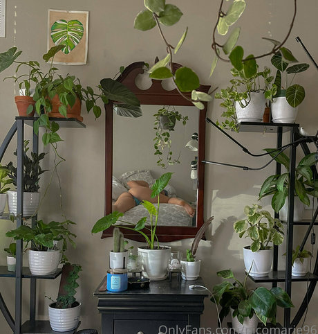 nicomarie96 actrice xxx collection