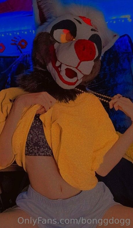 Bonggdogg meilleure actrice galeries