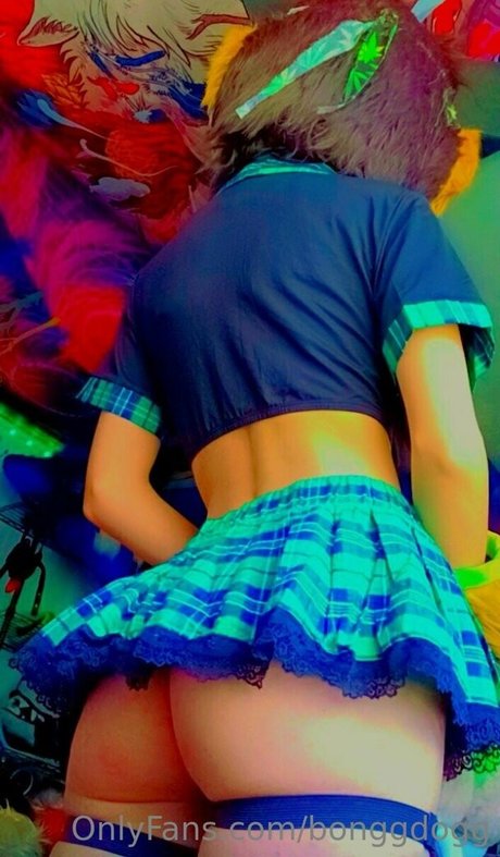 Bonggdogg haut modèle img