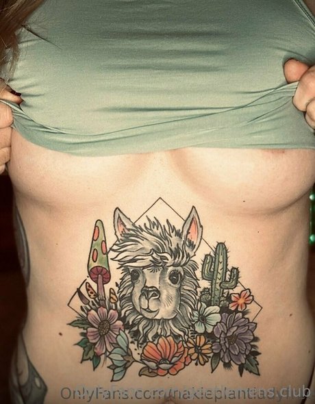 gentlemens club haut de star du porno images