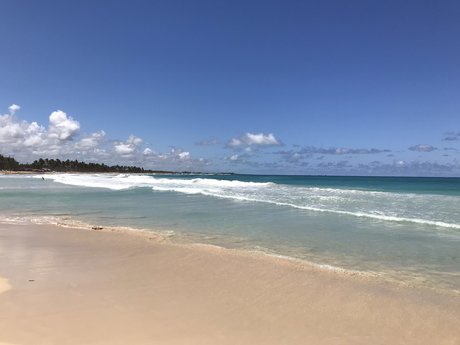 fans de culturistes uniquement pornographique archive