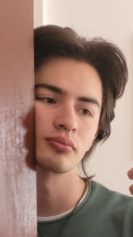 Luis_ belle star du porno photo