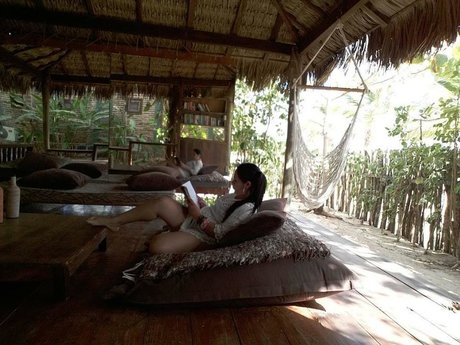 Prica haut étoile galerie