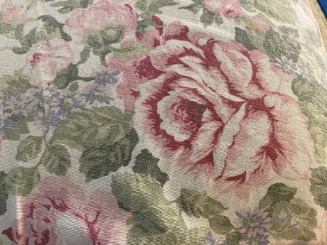 u25483124 art de star du porno galeries