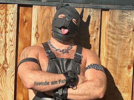 Chuken dog actrice sexy galerie