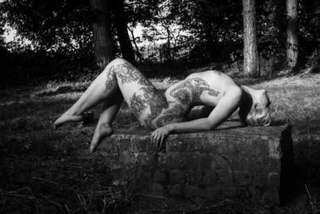 Dgin nus star du porno img