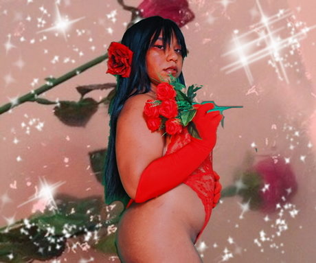 debs modèle archive