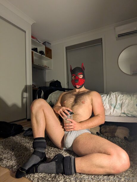 Pup Benji actrice pornographique photo