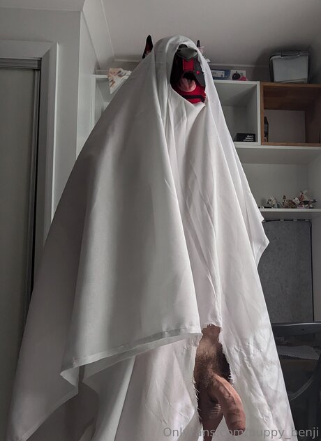 Pup Benji modèles nus collection