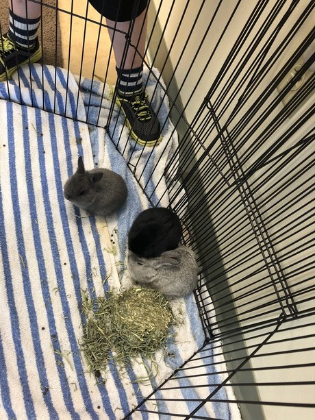 Caleb Brady modèle de haute qualité photo