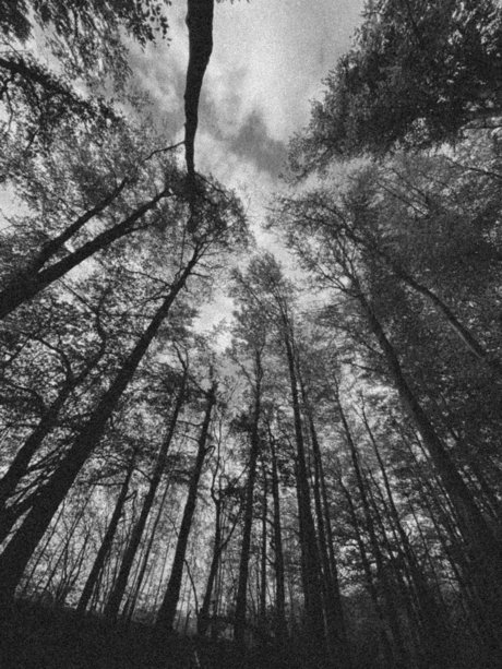 Leilalu belle star du porno collection