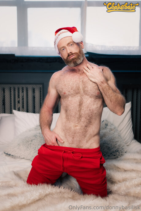 DonnyBasilisk art de star du porno galeries