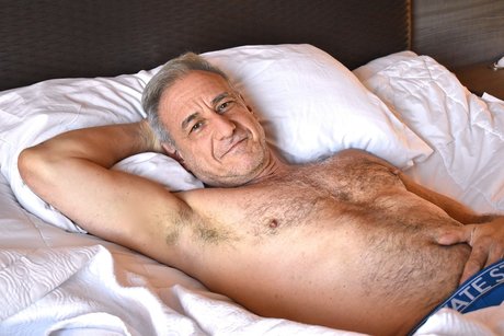 David Pevsner modèle gratuit collection