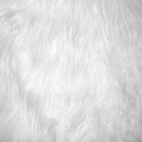 Raya_ art modèle galeries