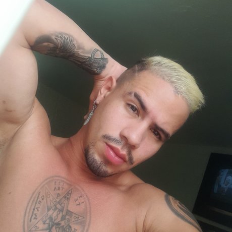 Ransed Aarsett art star du porno archive