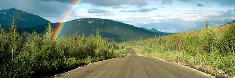 Thicker Ginger étoile hd photo