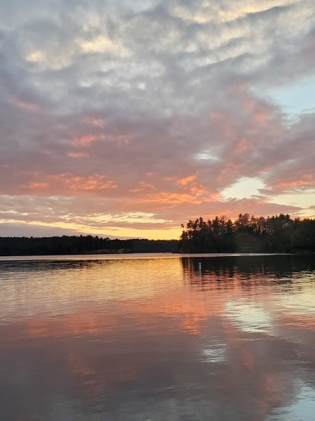 ROCKHARDCOCK2327 modèle hd collection