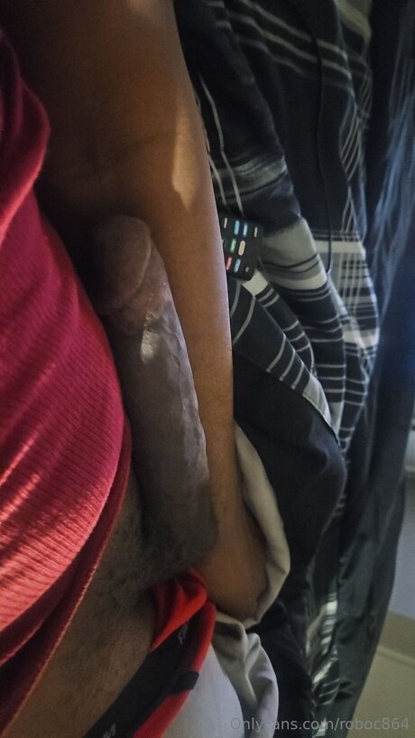 Robo modèle meilleur archive