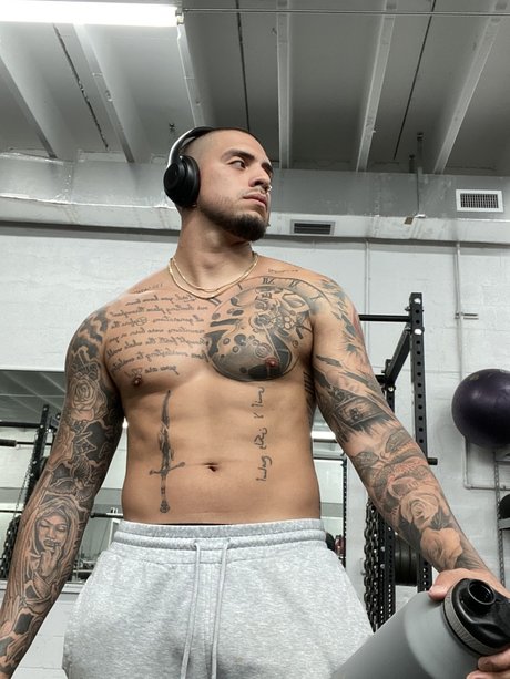 Costaricanpapii étoile chaude des photos