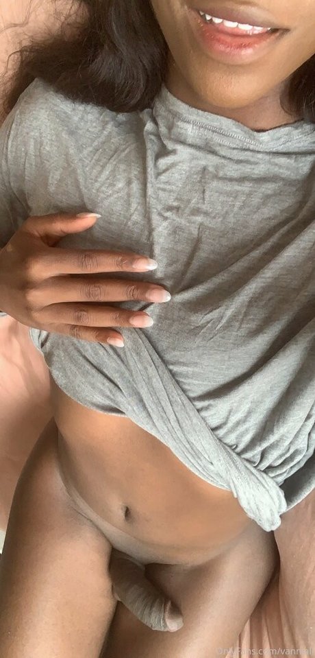 Vanniall belle star du porno galeries