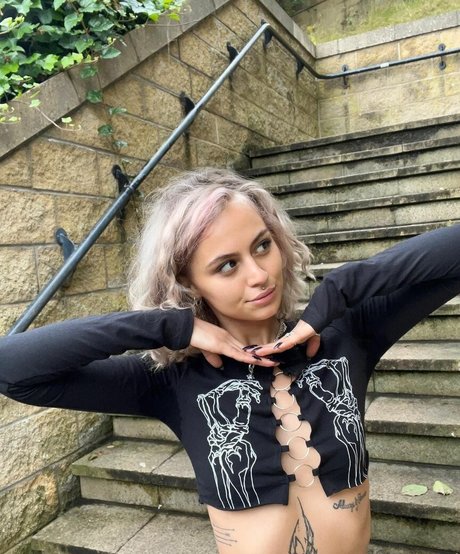 axalrnaed étoile magnifique image