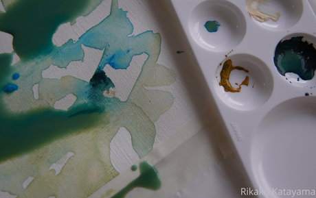 rikakodesu Profilfoto