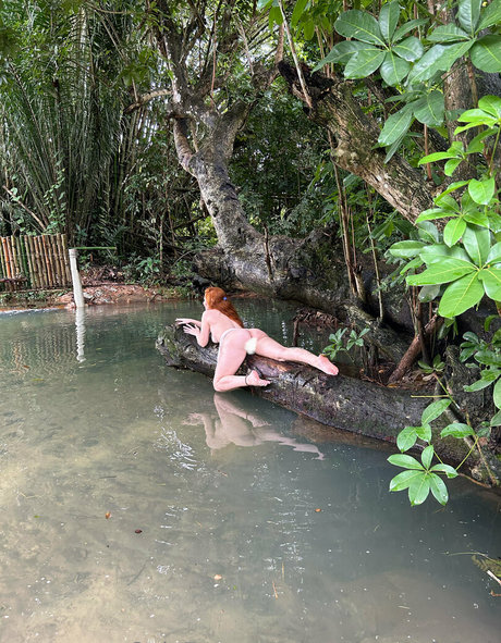 mysirenaofcfree star du porno en haute qualité galeries