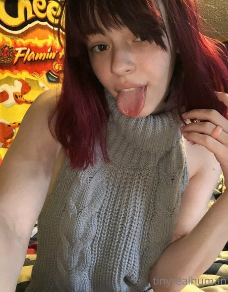 tinyrealmoth modèle meilleur images