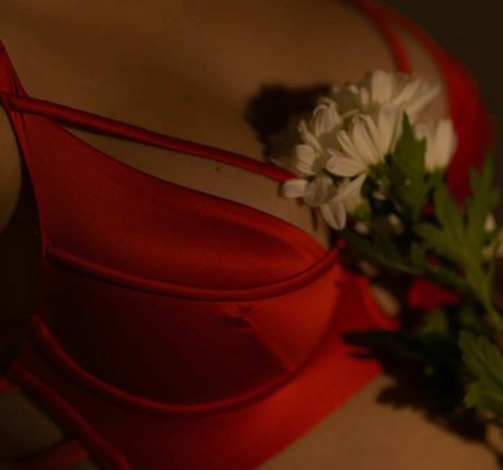 Moon fighter_ jolie étoile des photos