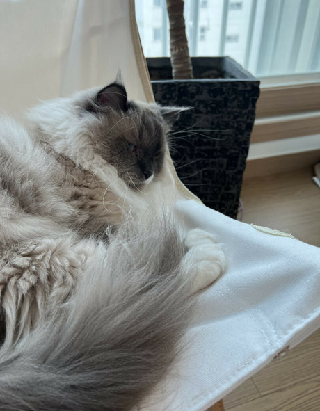 hinachan01 actrice chaude collection