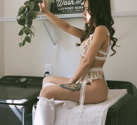 Miullien xxx star du porno collection