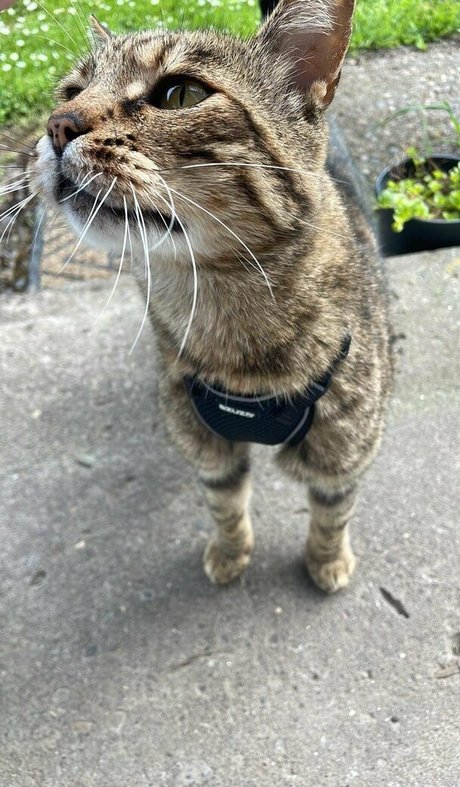 chatte dégoulinante et humide onlyfans adulte xxx images