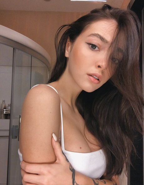 by owl art étoile image