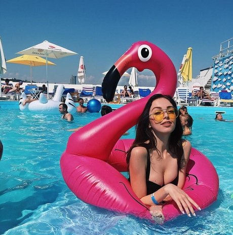 by owl haut de star du porno image