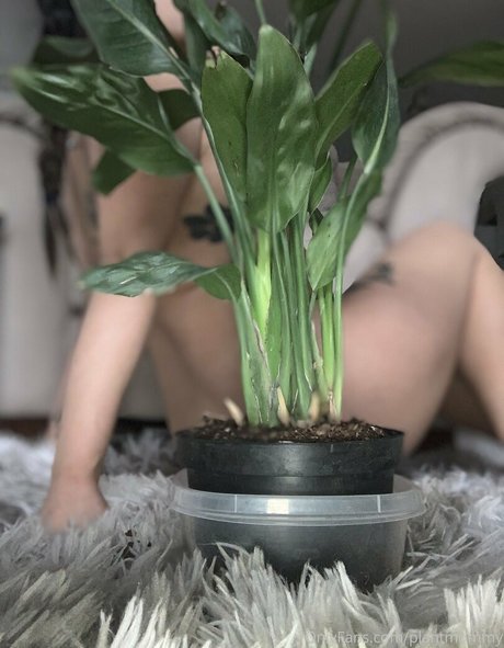 asia asahi star du porno gratuite photo