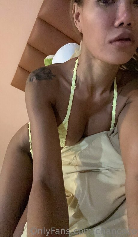 chancoco modèle meilleur img