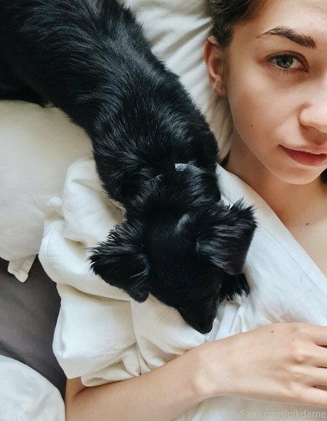 Pikdame jolie actrice images