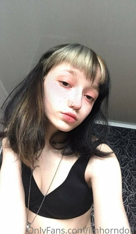 imhorndoll étoile adulte archive