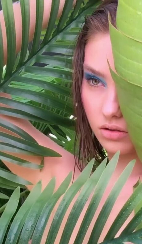 fans arabes de la bbc uniquement meilleurs nus archive