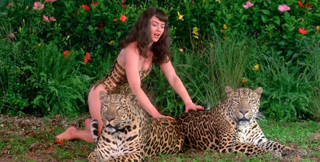 Gretchen Mol actrice pornographique images