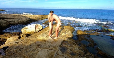 stallion bunny modèle adulte archive