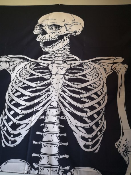 Sassysammi1880 art de star du porno images