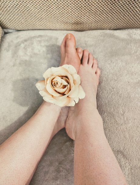 Rosie Mae actrice de sexe collection