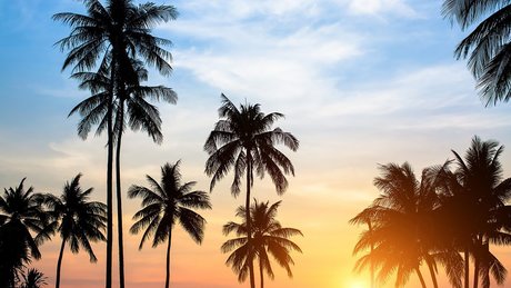 The Mandingo Club XXX VIP PREMIUM_ star exclusive archive